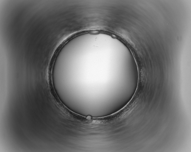 X0000096451412200802141503