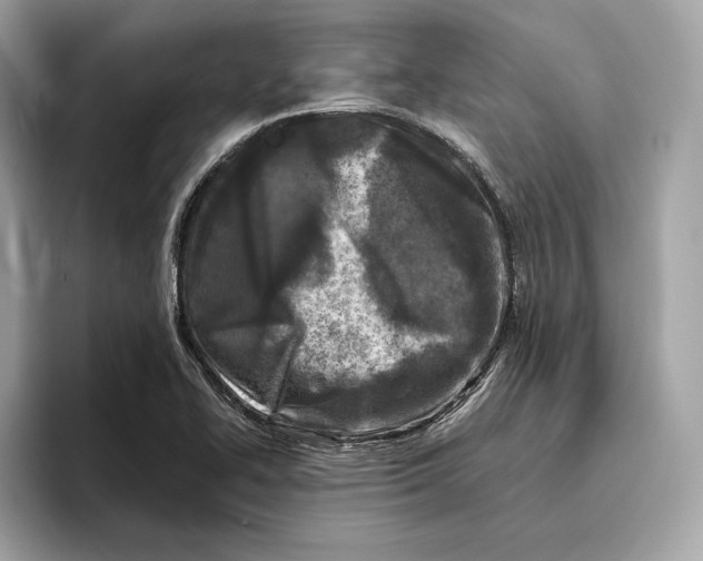 X0000096451414200802141503