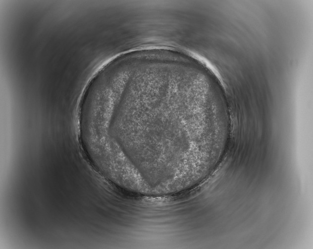 X0000096451415200802141503