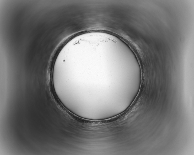 X0000096451416200802141503