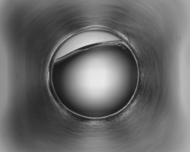 X0000096451418200802141503