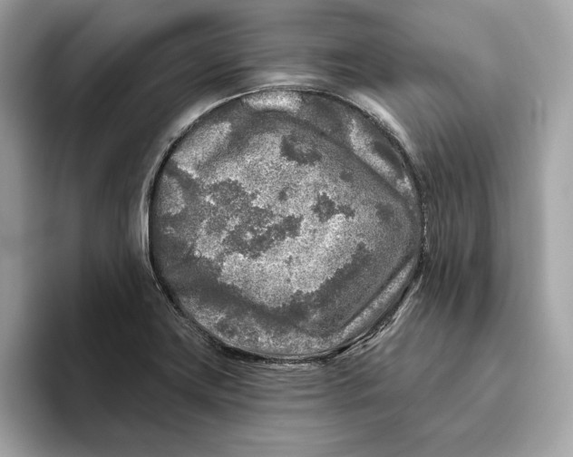 X0000096451419200802141503