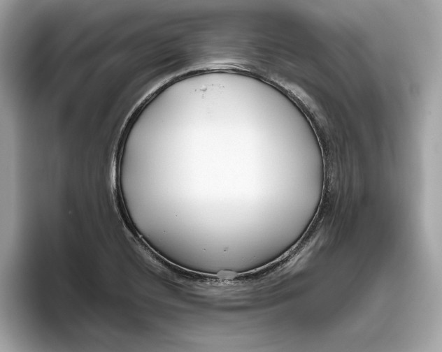 X0000096451420200802141503