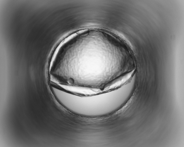 X0000096451421200802141503