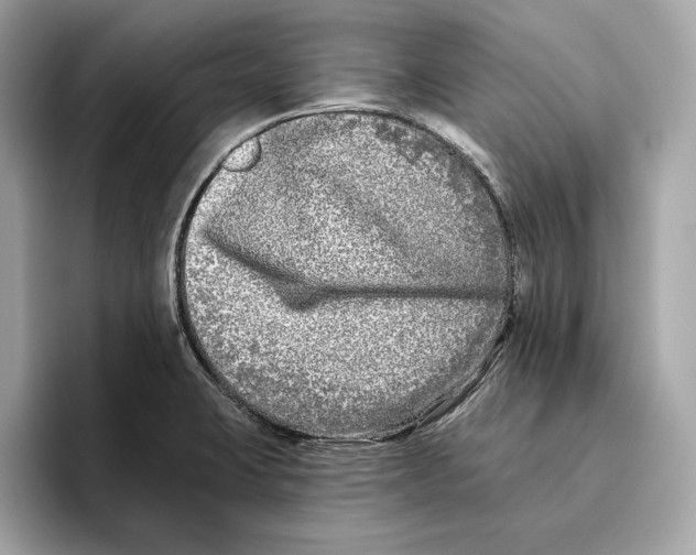 X0000096451423200802141503