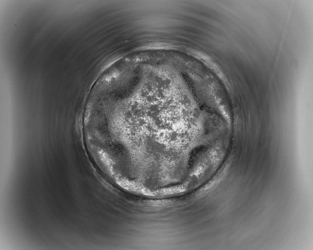 X0000096451425200802141503