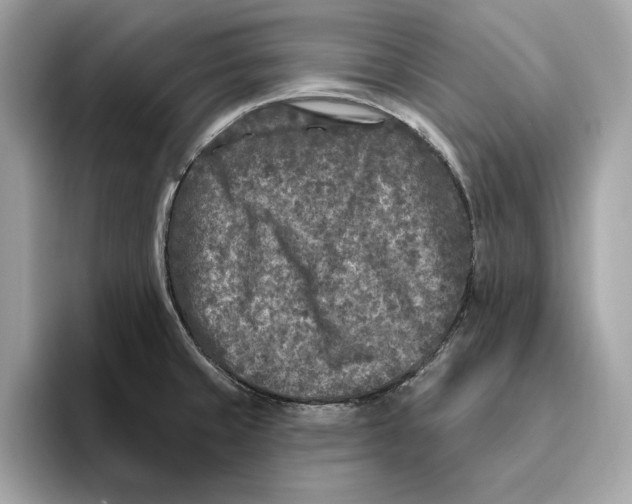 X0000096451429200802141503