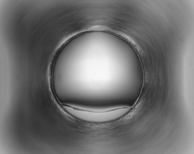 X0000096451430200802141503