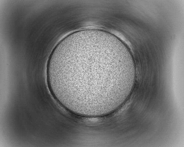 X0000096451431200802141503