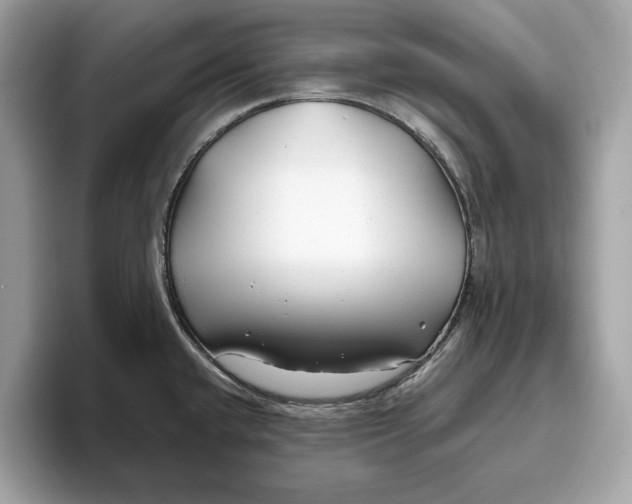 X0000096451432200802141503