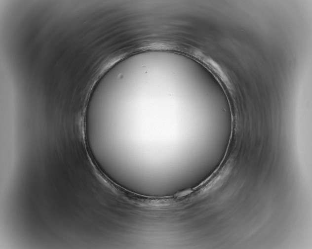 X0000096451433200802141503