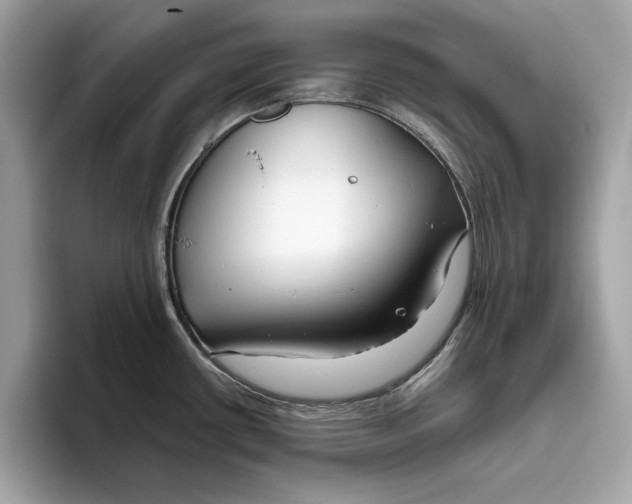 X0000096451434200802141503