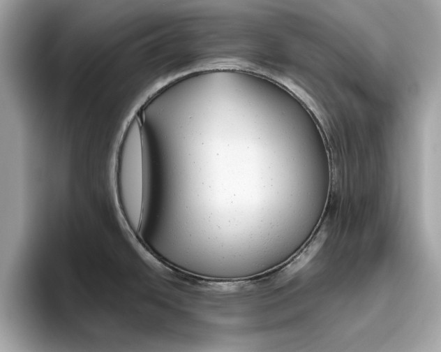 X0000096451438200802141503