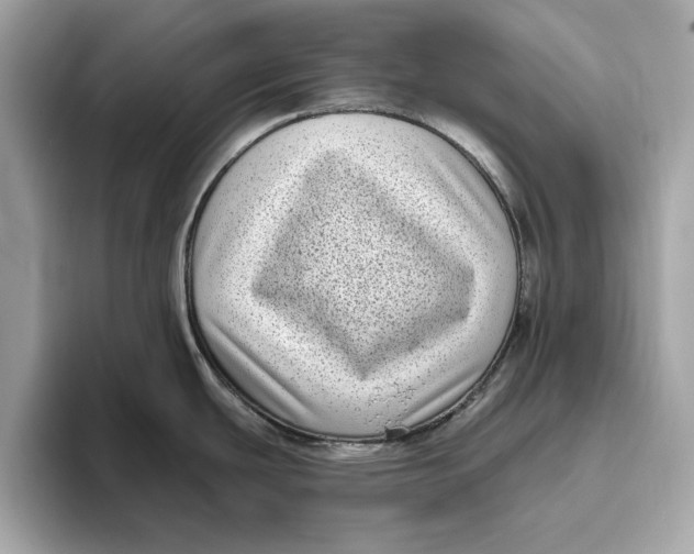 X0000096451439200802141503