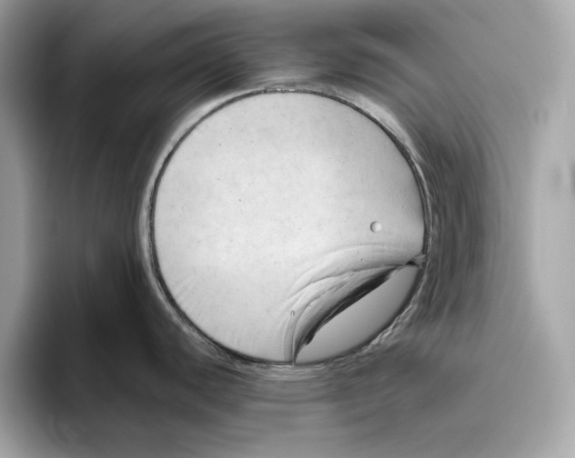 X0000096451440200802141503