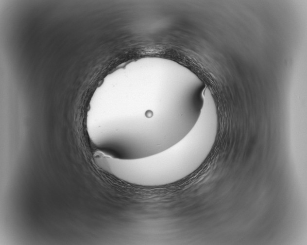 X0000096451441200802141503