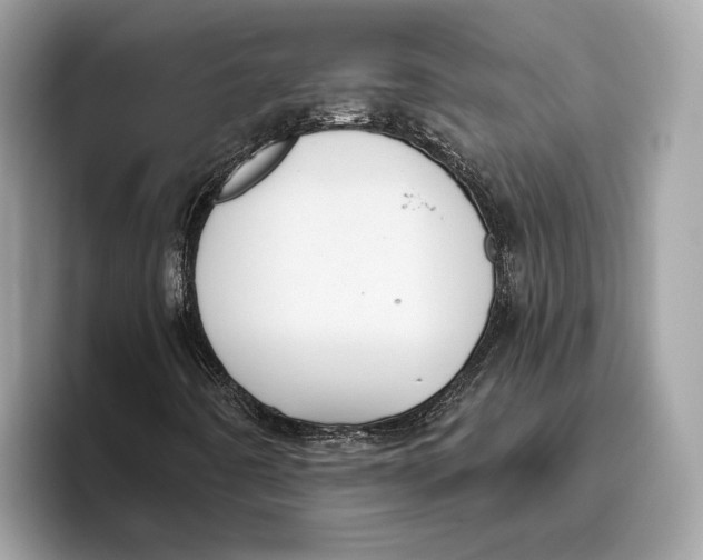 X0000096451442200802141503