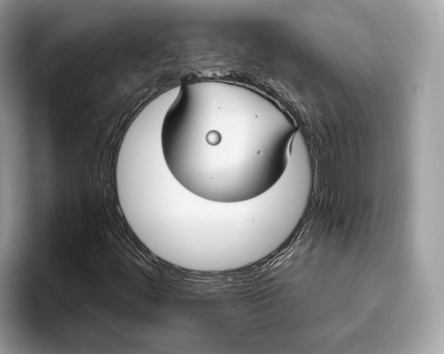 X0000096451444200802141503