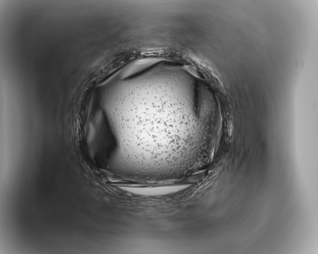 X0000096451445200802141503