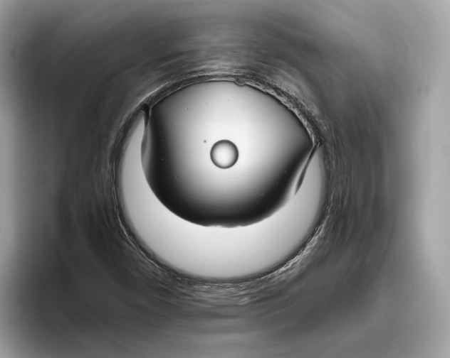 X0000096451450200802141502