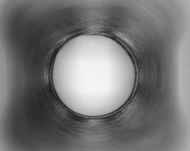 X0000096451451200802141502