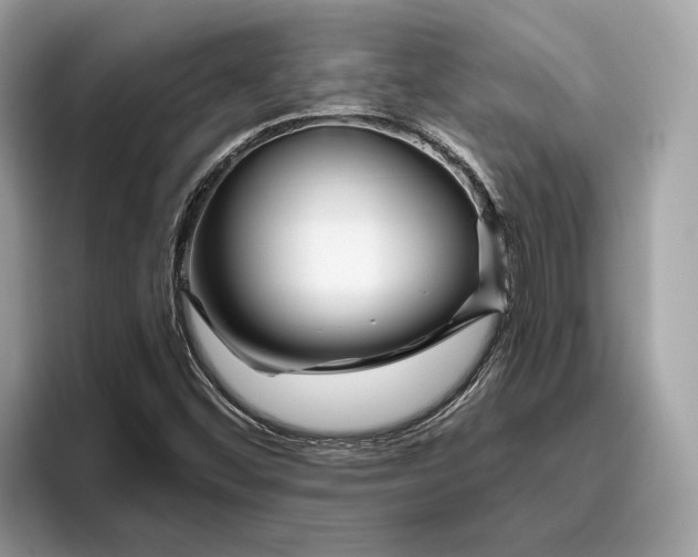 X0000096451452200802141502