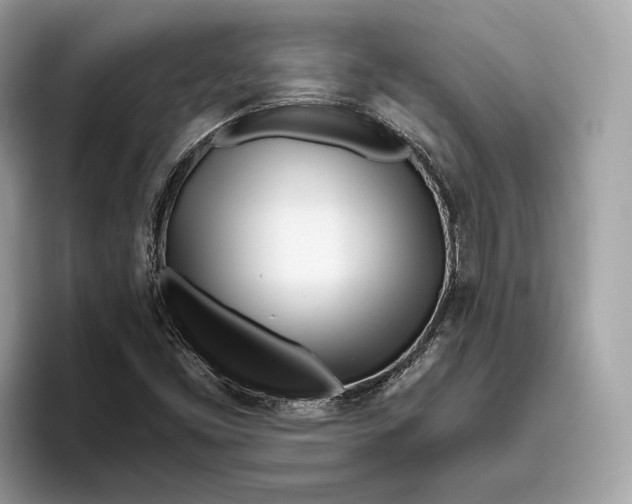 X0000096451453200802141502