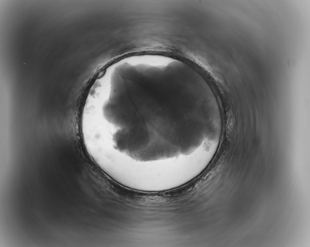 X0000096451455200802141502