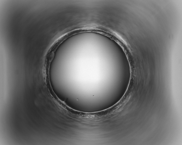 X0000096451456200802141502