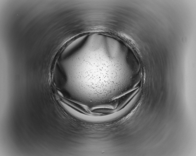 X0000096451457200802141502