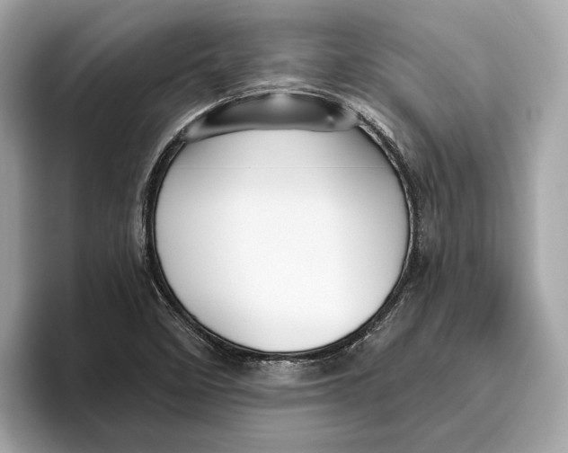 X0000096451458200802141502