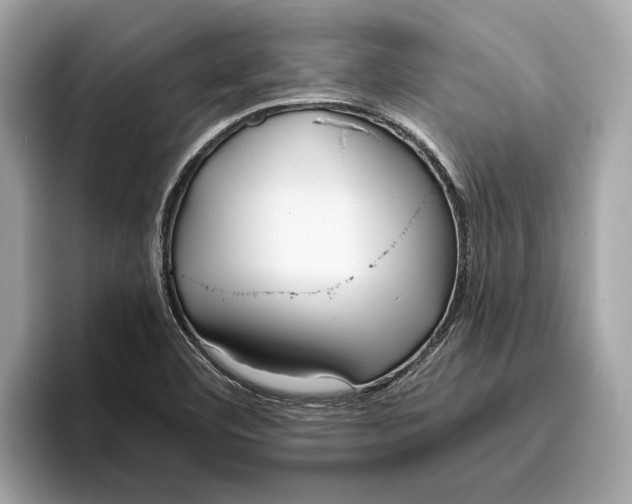 X0000096451460200802141502