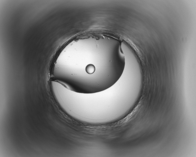 X0000096451461200802141502