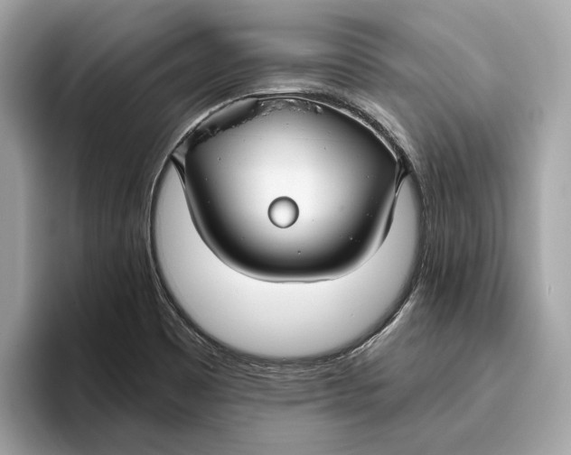 X0000096451465200802141502