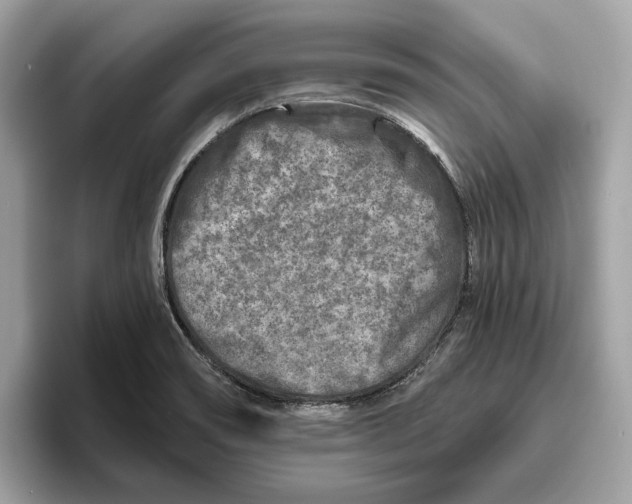 X0000096451466200802141502