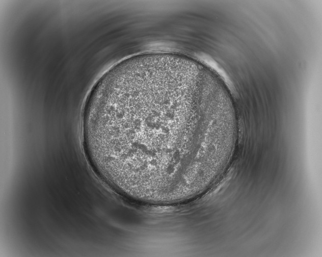 X0000096451467200802141502