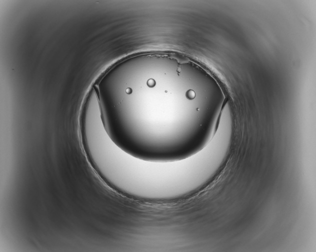 X0000096451468200802141502