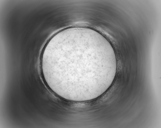 X0000096451470200802141502