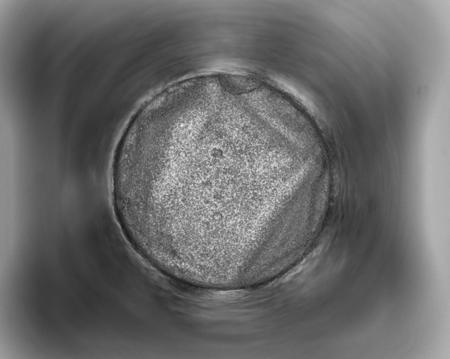 X0000096451471200802141502