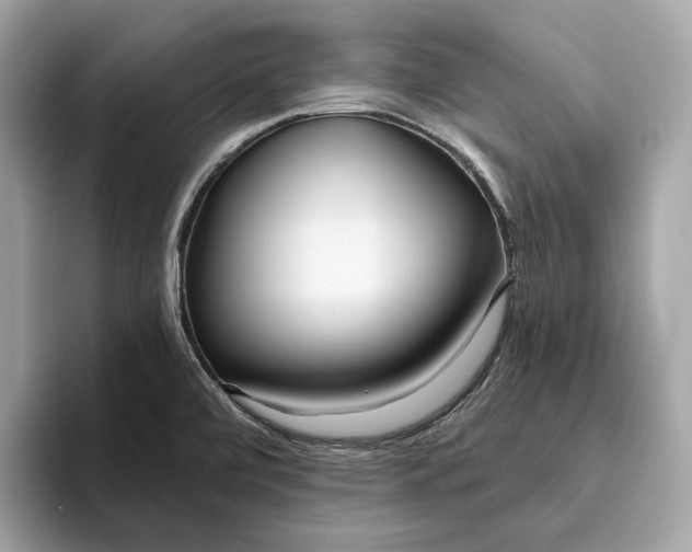 X0000096451472200802141502