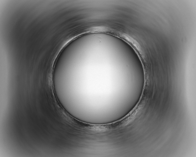 X0000096451473200802141502