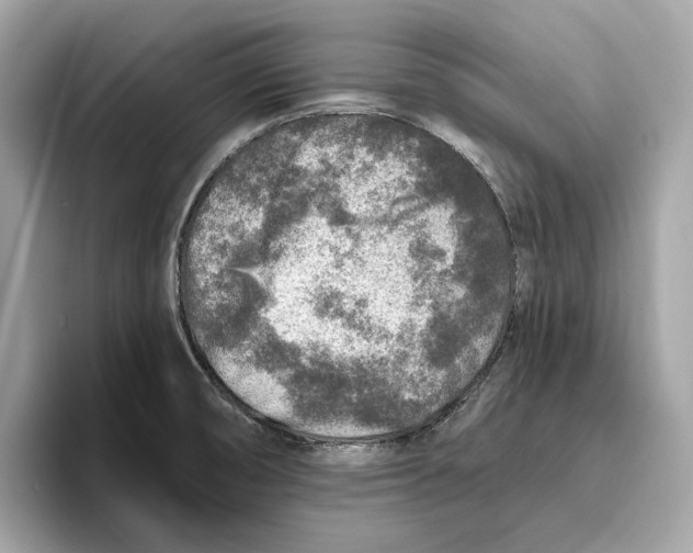 X0000096451474200802141502