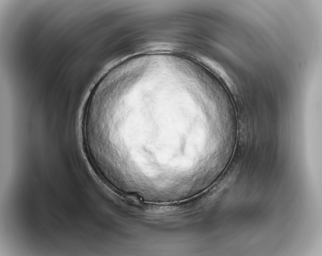 X0000096451475200802141502