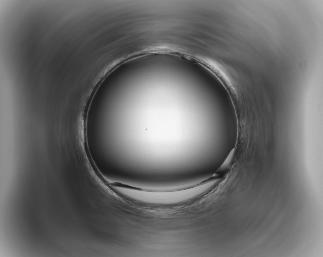 X0000096451476200802141502