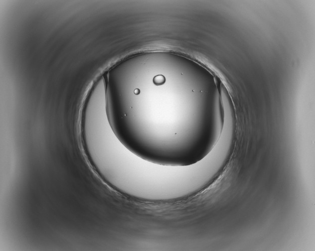 X0000096451477200802141502