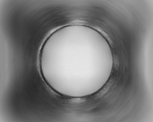 X0000096451478200802141502