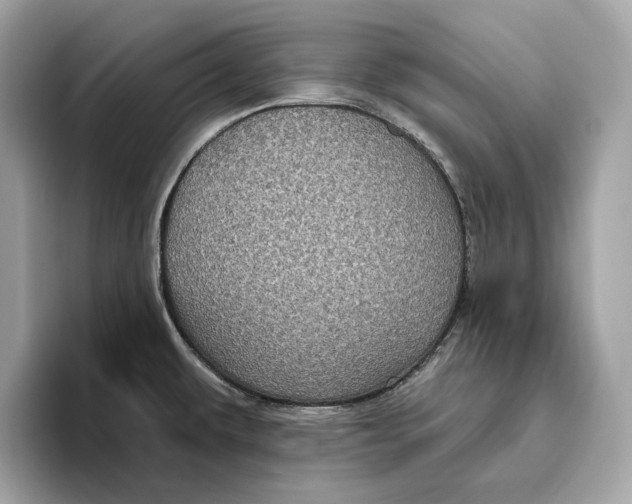 X0000096451479200802141502