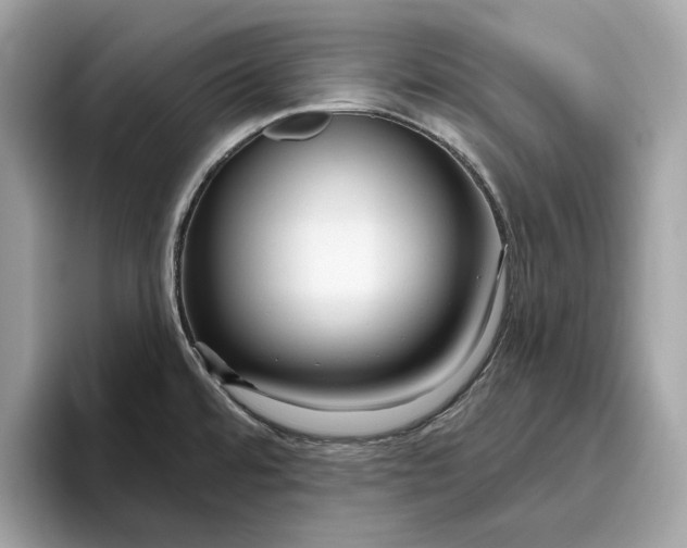 X0000096451480200802141502