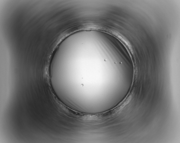 X0000096451481200802141502