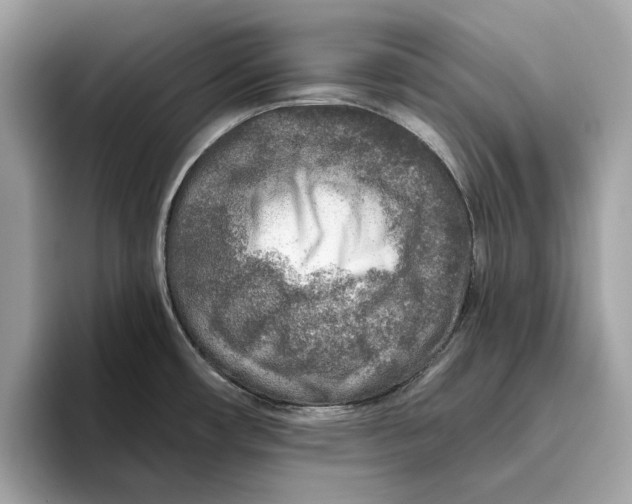 X0000096451482200802141502